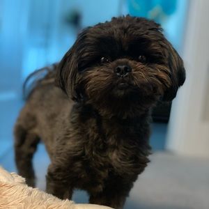 Meet your Posher, Bianca